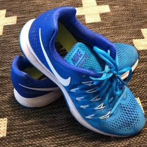 Nike Zoom Pegasus 33